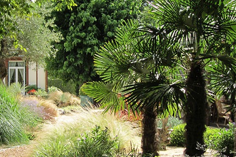 ADH paysage : entretien du jardin