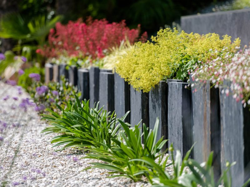 Retenue de terre en plaque d'ardoiseavec plantes vivaces