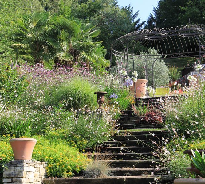 Escalier paysagé avec plantes vivaces et arbustives