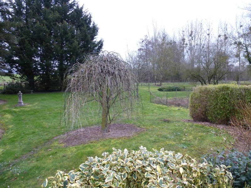 04-ADH-PAYSAGES-nos-projets-jardin-sal-avant