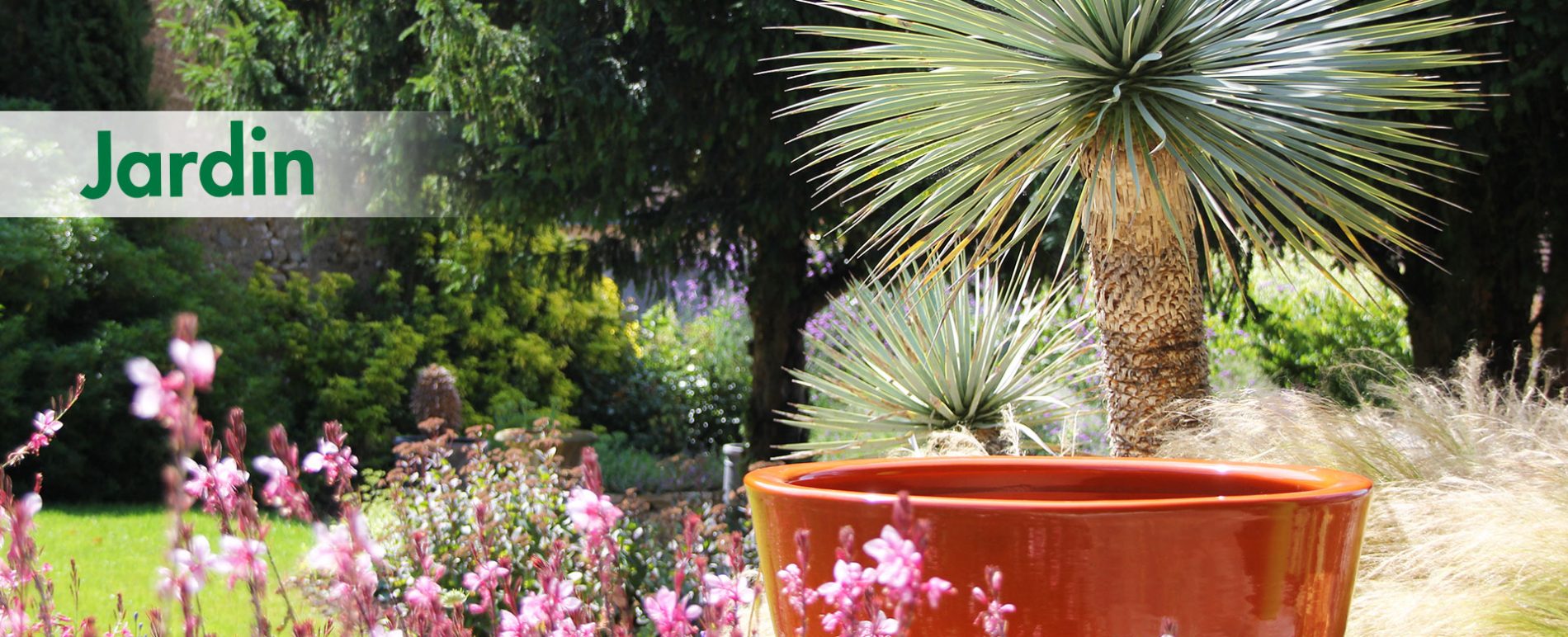 poterie vernie orange avec yucca rostrata et vivaces colorées