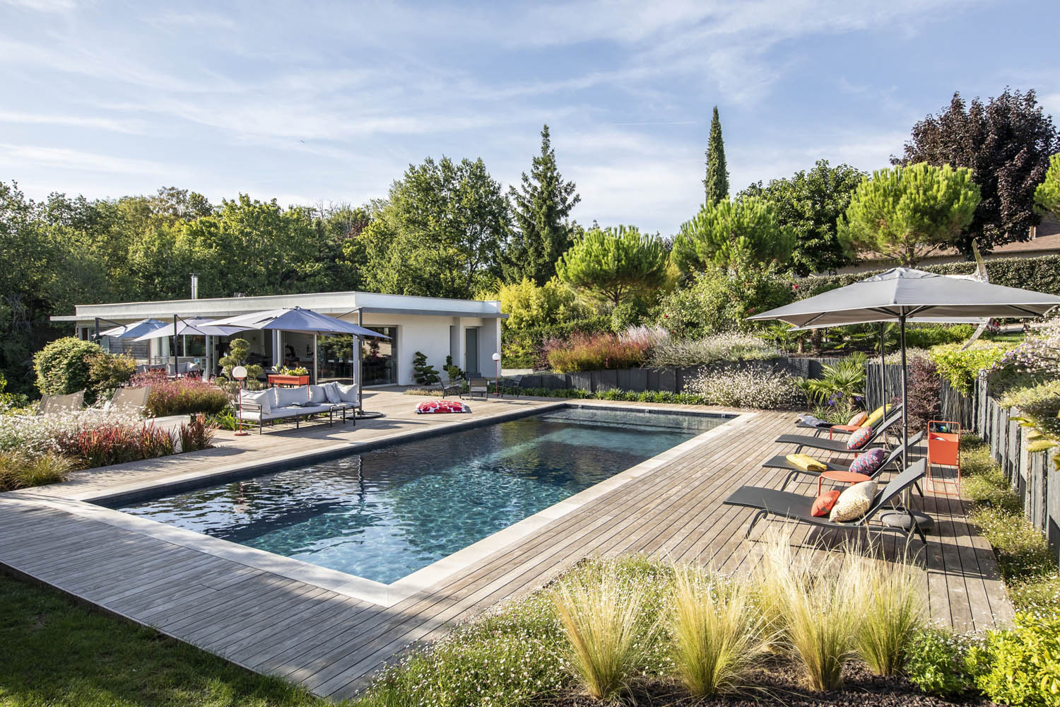 piscine contemporaine avec une terrasse en bois et des massifs