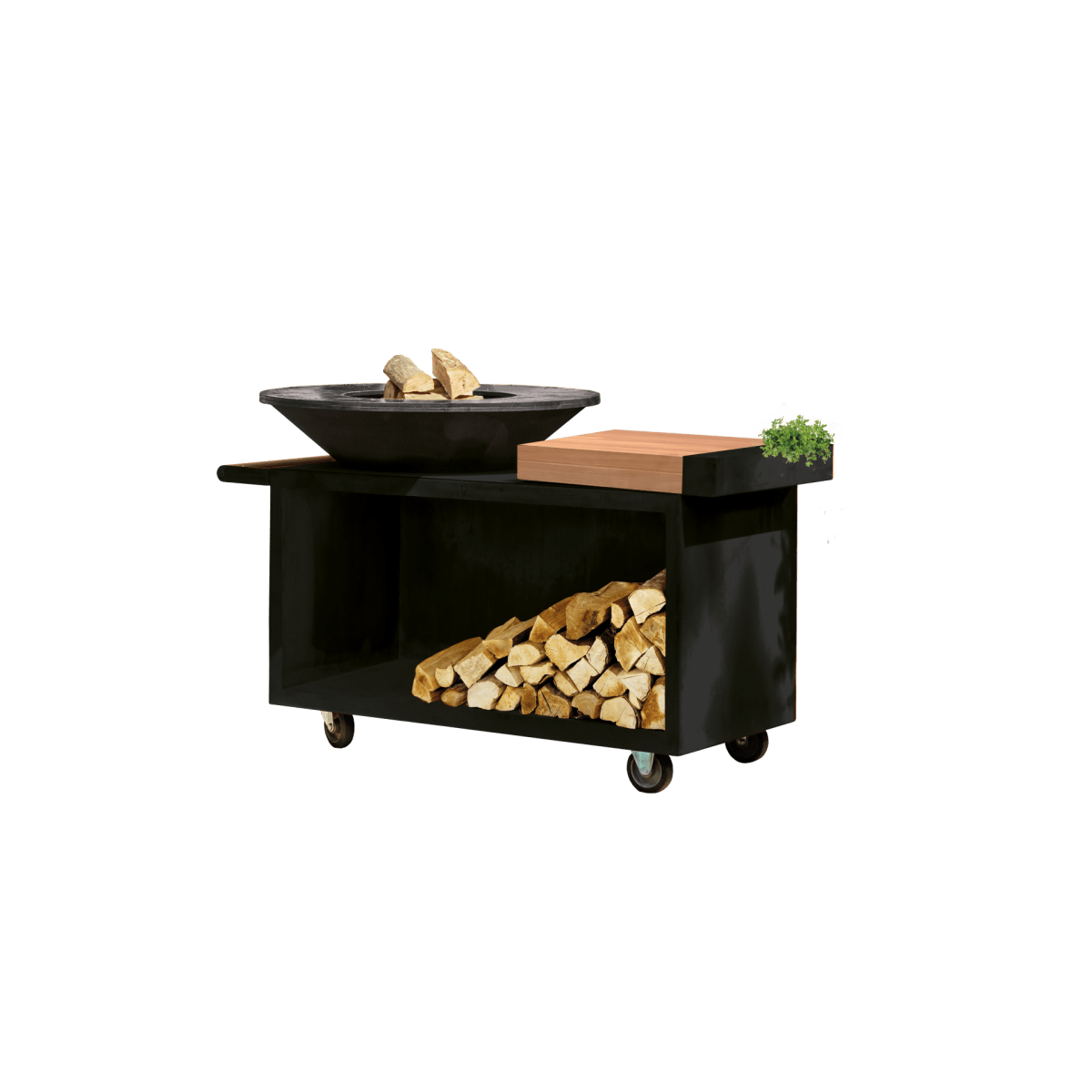 OIB 100 PRO TW