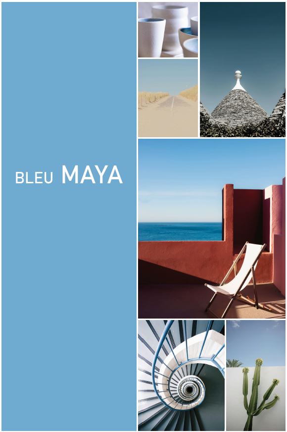 BLEU