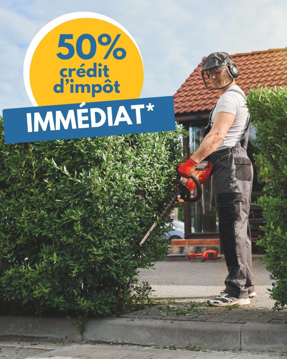 Taille de haies à Orléans - ADH Services 45