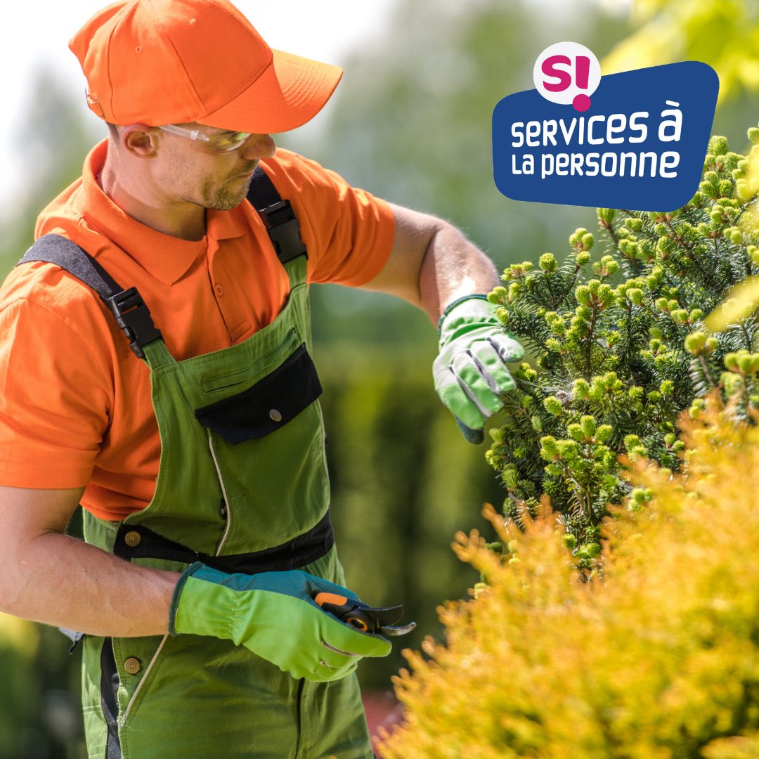 Taille des arbustes - ADH Services 45