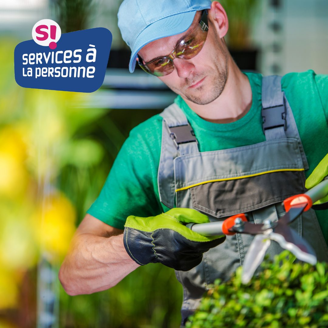 Taille d'arbustes à Vendôme - ADH Services 41