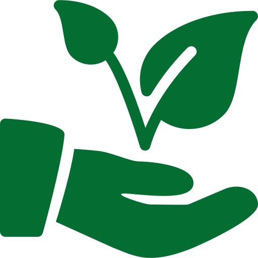 plante 1
